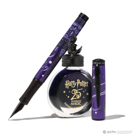 Warner Bros. | Harry Potter | Masque Limited Fountain Pen and 38ml Ink Set | Dementor