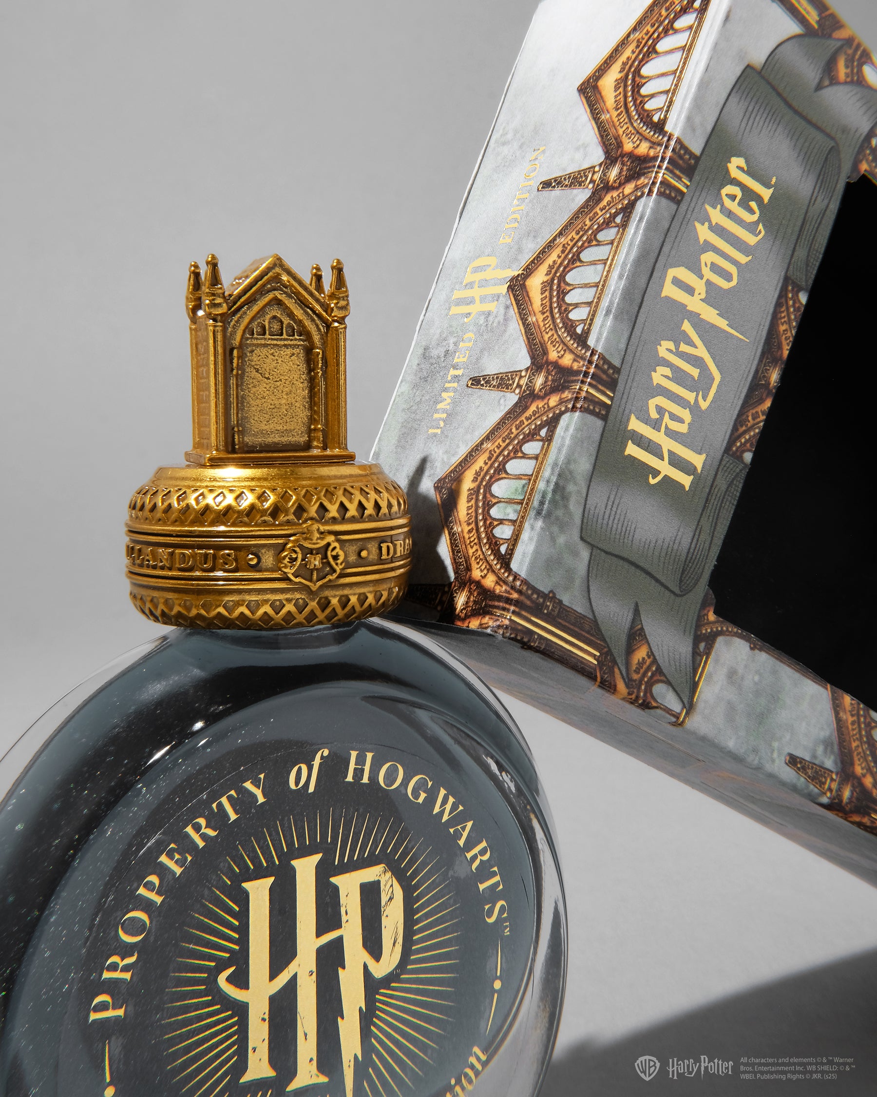 WB Fountain Pen Ink 38mL - Harry Potter - WBHP / The Mirror of Erised ...